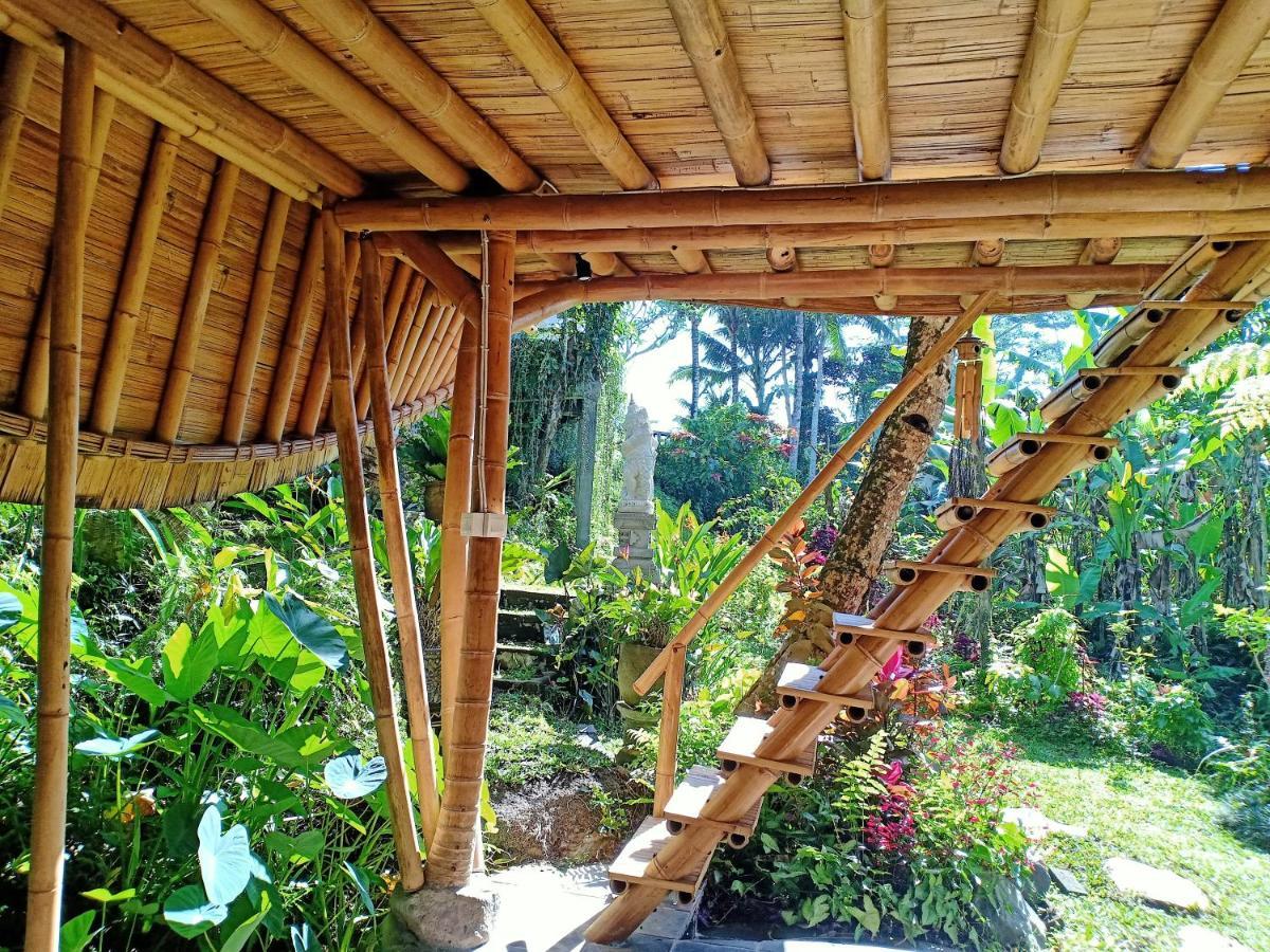 Jero Tumbuk Private Villa Selat Zewnętrze zdjęcie