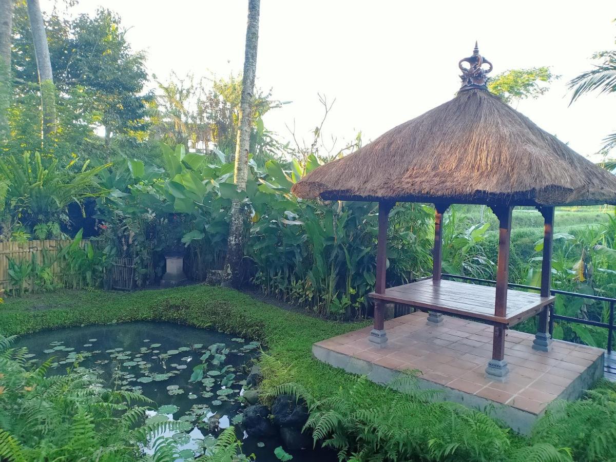 Jero Tumbuk Private Villa Selat Zewnętrze zdjęcie