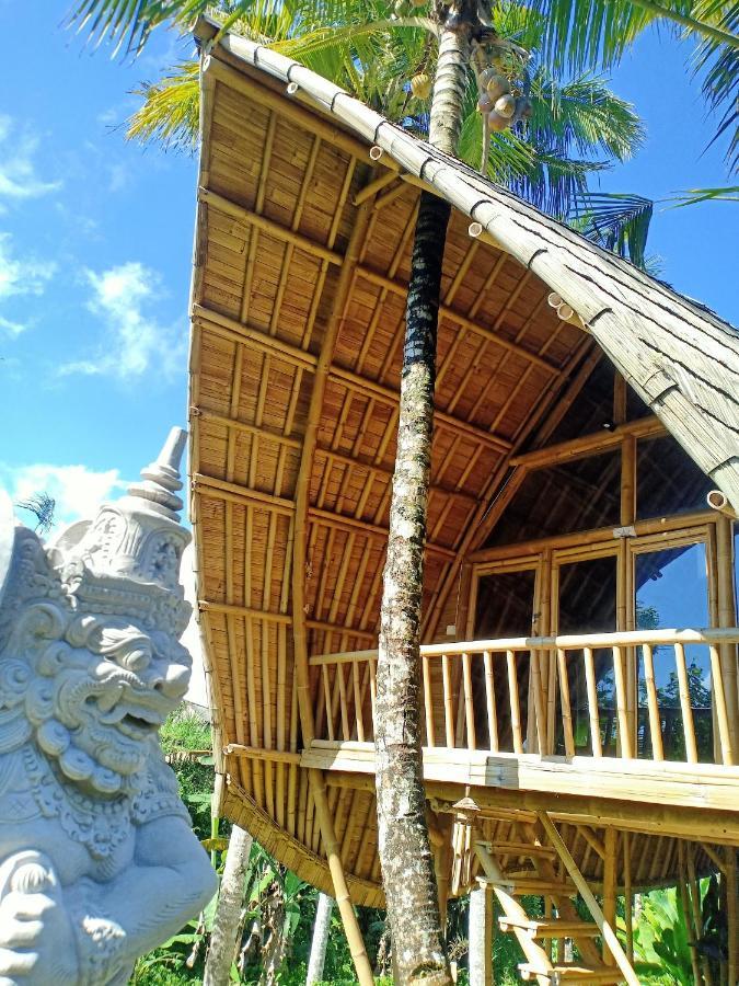 Jero Tumbuk Private Villa Selat Zewnętrze zdjęcie