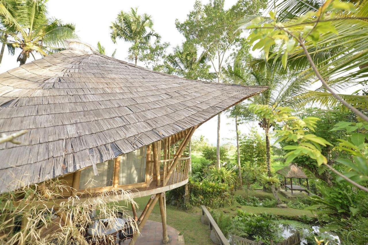 Jero Tumbuk Private Villa Selat Zewnętrze zdjęcie