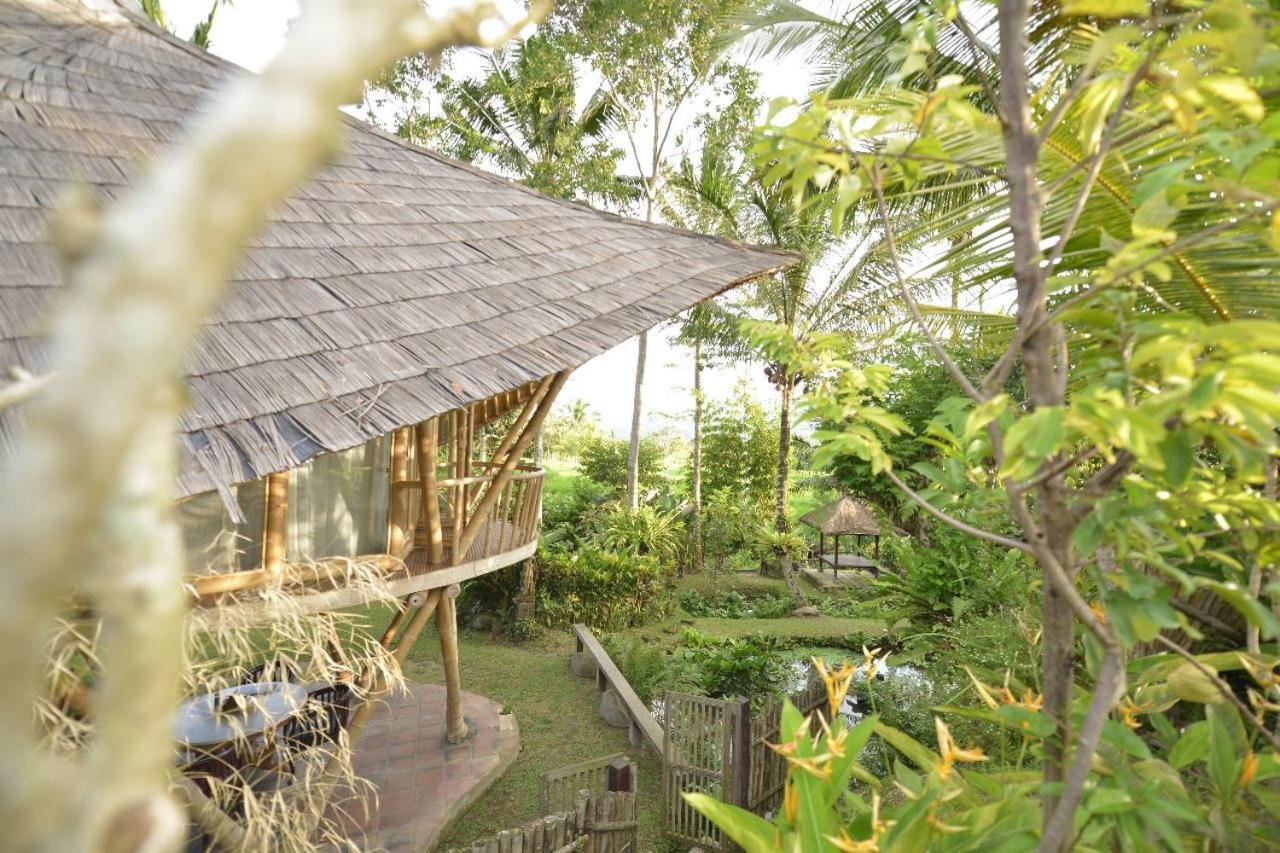 Jero Tumbuk Private Villa Selat Zewnętrze zdjęcie