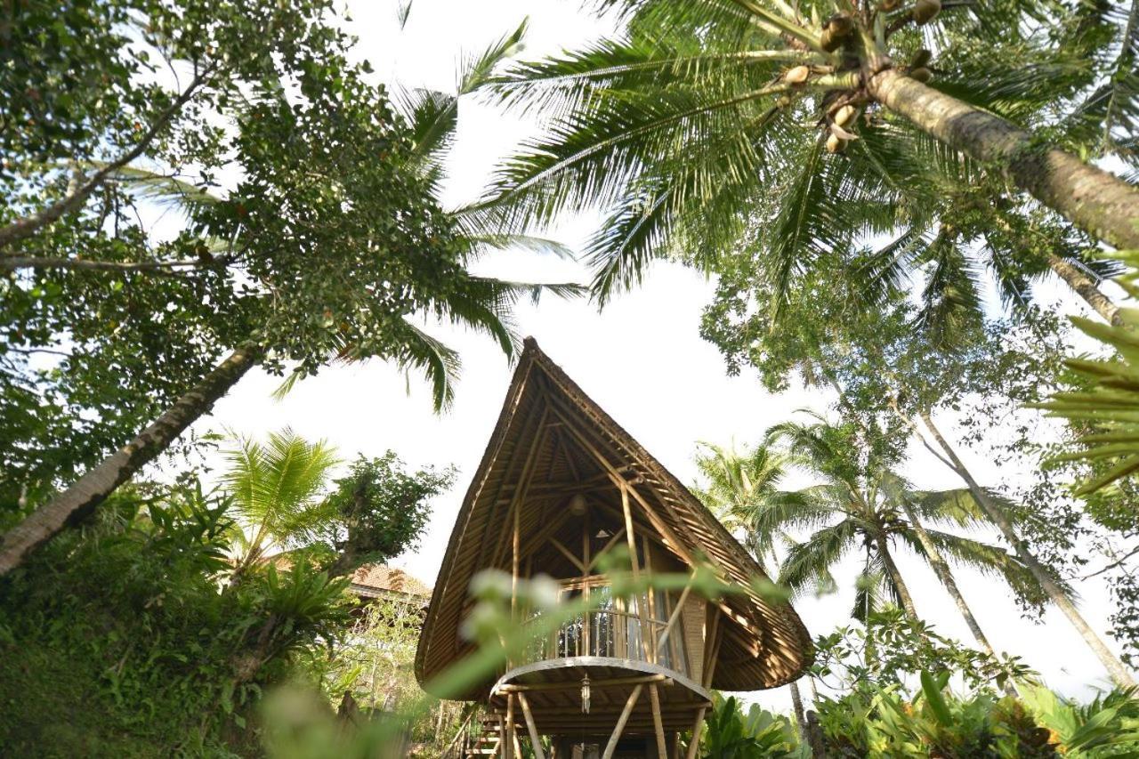 Jero Tumbuk Private Villa Selat Zewnętrze zdjęcie