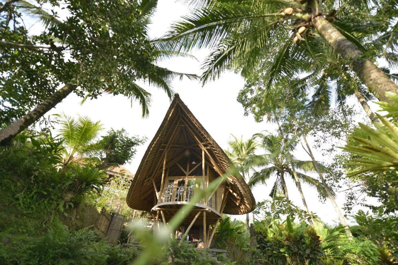 Jero Tumbuk Private Villa Selat Zewnętrze zdjęcie